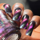 Make a Splash- from the “Under the Sea” Collection