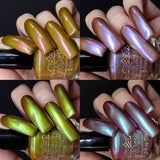 The “Fungus Among Us” Collection 5-free 15ml