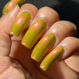 So Mush Fun from the “Fungus Among Us” Collection 5-free 15ml