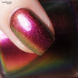 I Did a Punch! from the “Our Flag Means Death Pt 2” Collection 5-free 15ml