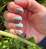 The Not Deer from the “Cryptid Cremes”