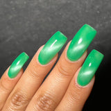Let’s Keep in Touch from the “Class Reunion” Collection 15ml 5-free