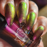 I Did a Punch! from the “Our Flag Means Death Pt 2” Collection 5-free 15ml