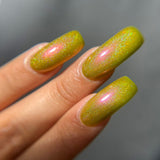 So Mush Fun from the “Fungus Among Us” Collection 5-free 15ml
