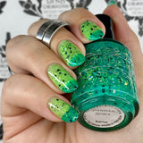 Pandan Boba from the “Silly Little Drinks pt2” Collection 5-free 15ml