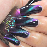 Make a Splash- from the “Under the Sea” Collection