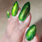 Fang’s Real Name is Kevin from the “Our Flag Means Death Pt 2” Collection 5-free 15ml