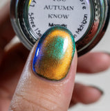 You Autumn Know from the “Fall Magnetics” Collection 5-free 15ml