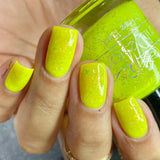 No Duh from the “The Sticker” Collection 5-free 15ml