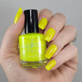 No Duh from the “The Sticker” Collection 5-free 15ml